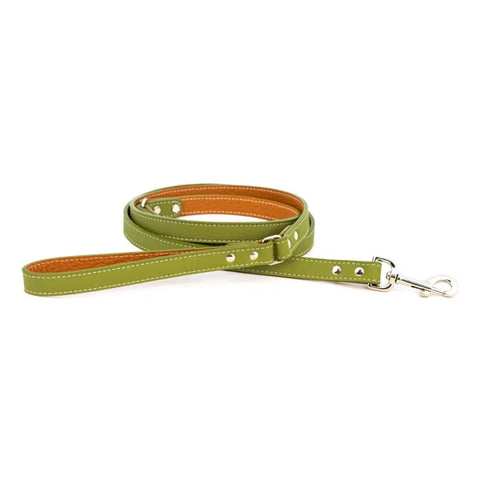 Tuscan Leather Dog Leash 4 and 6 Foot Options – Durable Handmade Pet Leash | Made in USA Auburn Leathercrafters  item