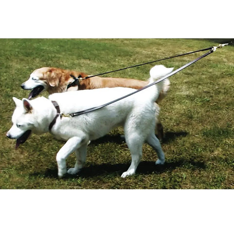 Two Dog Walker Leash – No Tangle Double Lead with Swivel Snaps | Made in USA Pet Leash Auburn Leathercrafters  item