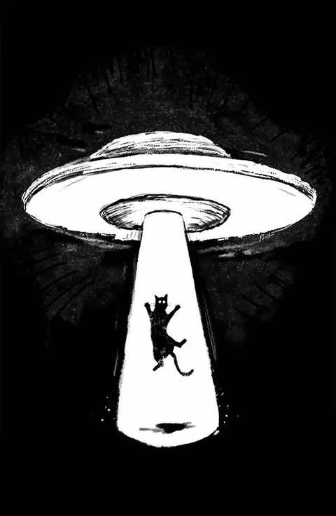 UFO Cat Wall Art Poster 11x17 Inch – Black and White Graphic Print | Made in USA Skinny Pete's Gourmet Catnip  Art