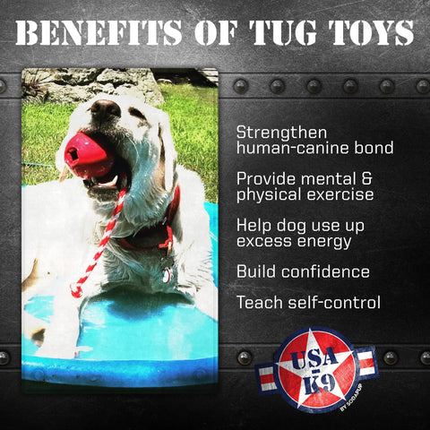 A dog holds a red USA-K9 Cherry Bomb toy by SodaPup in its mouth while sitting in a blue pool. Text highlights the toys benefits—bonding, exercise, energy use, confidence, and self-control. SodaPup logo appears at the bottom.