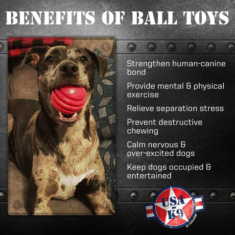 A happy dog with a gray muzzle holds the USA-K9 Stars and Stripes Ultra-Durable Rubber Chew Ball by SodaPup. Next to the dog, a list titled Benefits of Ball Toys highlights stress relief and entertainment for dogs.