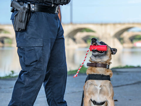 A uniformed police officer stands by a Belgian Malinois police dog wearing a harness near a riverside bridge. The dog holds a SodaPup USA-K9 Firecracker Durable Rubber Floating Training Dummy (Large, Red) in its mouth.