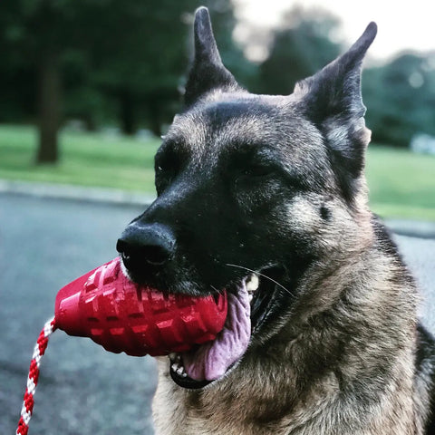 A German Shepherd stands outdoors, holding the SodaPup USA-K9 Grenade Durable Rubber Chew Toy—with attached rope—in its mouth, with green grass and trees visible in the background.