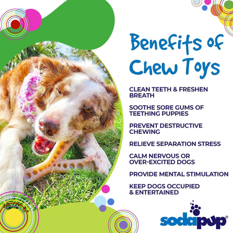 A dog chews on a SodaPup MOD Wishbone EChew Ultra Durable Nylon Dog Chew Toy outdoors, benefiting from cleaner teeth, soothed gums, mental stimulation, and reduced destructive chewing. Features the SodaPup logo.