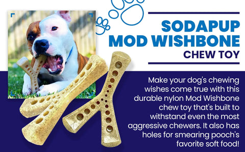 A dog chews a tan SodaPup MOD Wishbone EChew, an ultra-durable nylon dog chew toy with treat holes for spreading soft food—perfect for aggressive chewers.