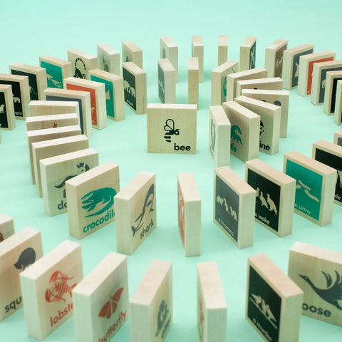 Uncle Goose Chips - Collective Nouns Uncle Goose  Educational Chips