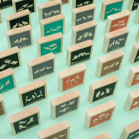 Uncle Goose Chips - Collective Nouns Uncle Goose  Educational Chips