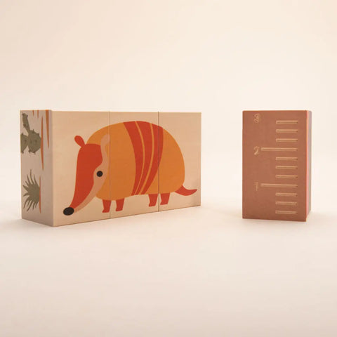 Uncle Goose Desert Educational Blocks Set – 6 Handcrafted Basswood Puzzle Toys | Made in USA Uncle Goose  Environments