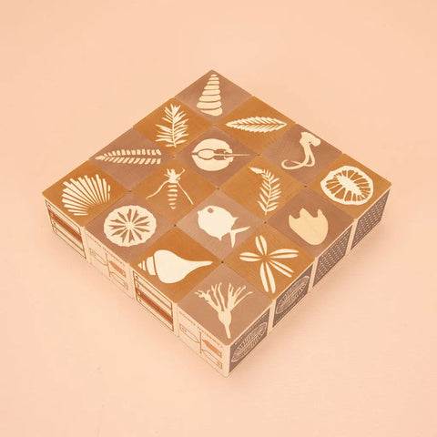 Uncle Goose Educational Fossil Blocks Set – 16 Earth Tone 1.75 Inch Cubes | Sustainable Wood Toy Made in USA Uncle Goose  Discovery