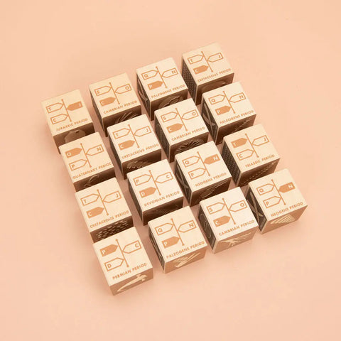 Uncle Goose Educational Fossil Blocks Set – 16 Earth Tone 1.75 Inch Cubes | Sustainable Wood Toy Made in USA Uncle Goose  Discovery