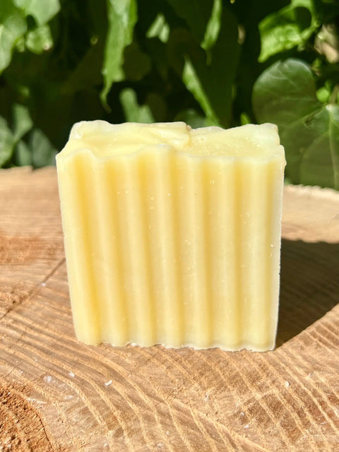 Unscented Coconut Olive Tallow Bar Soap – Handmade Natural Skin Cleanser | Rowe Naturals | Made in USA Rowe Naturals  Tallow soap