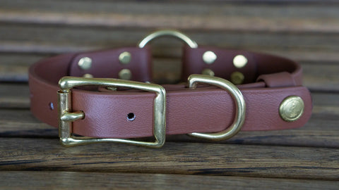 Upland & Downstream Cayuga Biothane Center Ring Collar Auburn Leathercrafters  item