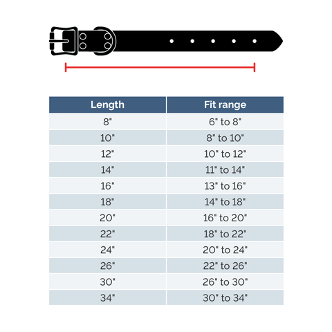 Upland & Downstream Cayuga Biothane Center Ring Collar Auburn Leathercrafters  item
