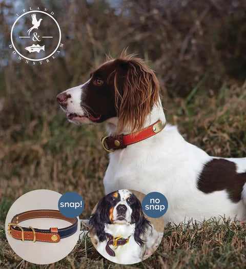 Upland & Downstream Countryside Dog Collar – Durable Bridle Leather & Waxed Canvas | Made in USA Auburn Leathercrafters  item