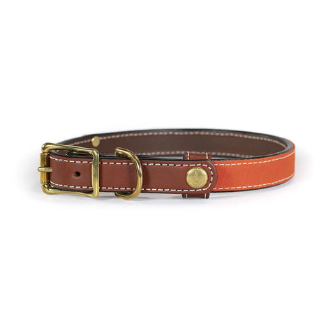 Upland & Downstream Countryside Dog Collar – Durable Bridle Leather & Waxed Canvas | Made in USA Auburn Leathercrafters  item