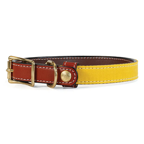 Upland & Downstream Countryside Dog Collar – Durable Bridle Leather & Waxed Canvas | Made in USA Auburn Leathercrafters  item