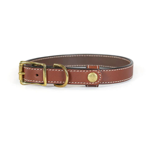 Upland & Downstream Tail Snap Dog Collar – Premium American Bridle Leather Field Collar | Made in USA Auburn Leathercrafters  item