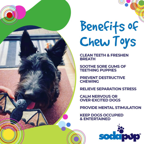 A black dog holds the SodaPup Vampire Bat Ultra Durable Nylon Dog Chew Toy for Aggressive Chewers in its mouth. Text highlights benefits like teeth cleaning, mental stimulation, and preventing destructive behavior. SodaPup logo at bottom. Perfect for power chewers!.