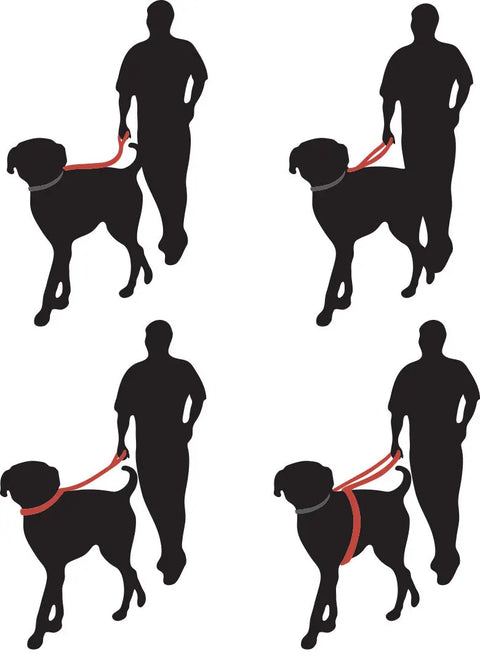 Versatile 5 Ft Top Grain Leather Dog Leash – Multi-Function Hands-Free Slip Lead | Made in USA Auburn Leathercrafters  item