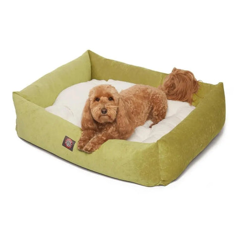 A small brown dog with curly fur is lying in the Majestic Pet Villa Luxe Bagel Bed, featuring cream-colored cushioning, looking forward.