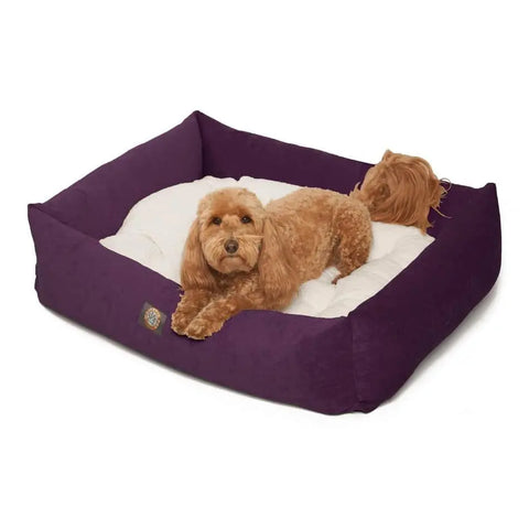 A small brown dog with curly fur lies on a cushioned white mat inside the Majestic Pet Villa Luxe Bagel Bed, which is machine washable, looking up at the camera.