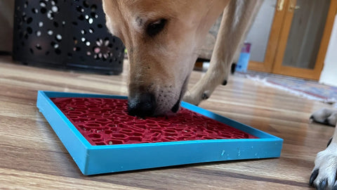 A dog is licking food from the SodaPup Vino Design EMat Enrichment Lick Mat, featuring a wine glass pattern, placed on a wooden floor indoors.