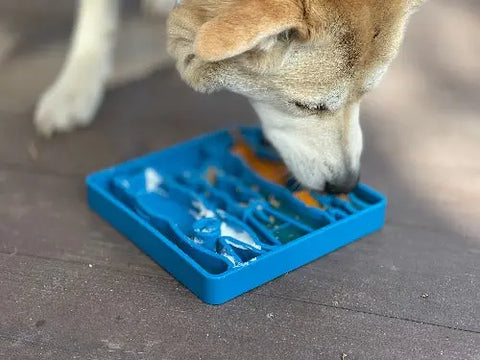 A dog explores a blue SodaPup Waiting Dogs Design ETray Enrichment Tray on a wooden floor, enjoying the tray’s engaging shapes and grooves that make mealtime a fun puzzle.