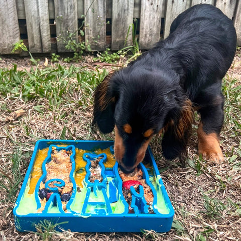 Waiting Dogs Design Enrichment Slow Feeder Tray for Dogs – 8 Inch | Made in USA SodaPup  ETRAY