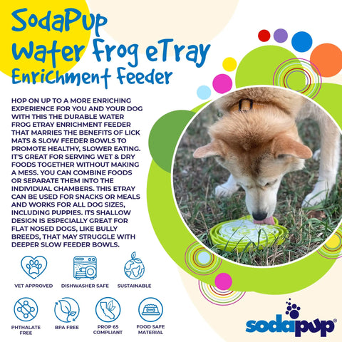 Vibrant ad for SodaPup Water Frog Design ETray Enrichment Tray for Dogs showcases slower eating and enrichment. Includes product details, vet approved, dishwasher safe, BPA free, food safe icons, and encourages healthier eating habits.