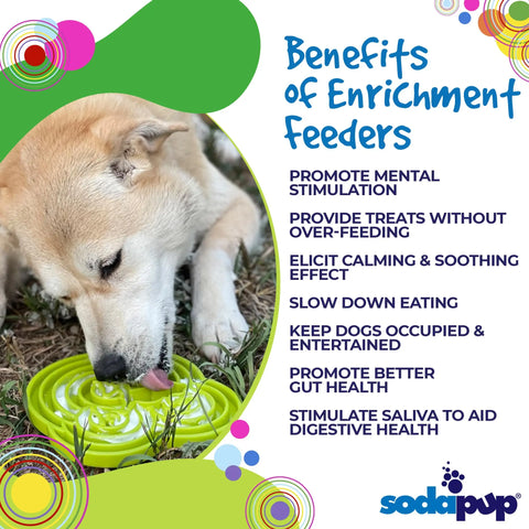 A dog enjoys food from a green SodaPup Water Frog Design ETray Enrichment Tray on the grass. Text highlights mental stimulation, slower eating, and improved gut health. The SodaPup logo appears at the bottom.