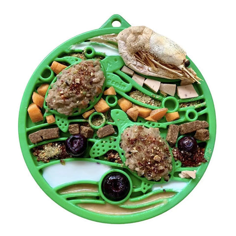The SodaPup Water Nylon ECoin Durable Enrichment Snacking Coin holds mashed food, kibble, carrots, diced food, blueberries, powdered supplements & a shrimp—perfect for pet enrichment snacks or supporting pets with chewing issues.