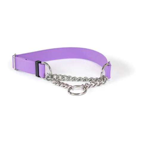 Waterproof Adjustable Martingale Dog Collar – Biothane Material – Easy Clean Pet Collar | Made in USA Auburn Leathercrafters  item