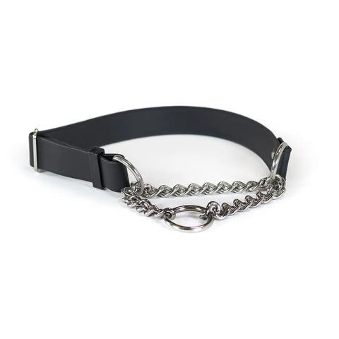 Waterproof Adjustable Martingale Dog Collar – Biothane Material – Easy Clean Pet Collar | Made in USA Auburn Leathercrafters  item