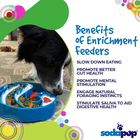 A black and white dog eats from a blue SodaPup Wave Design EBowl Enrichment Slow Feeder Bowl. Text highlights the benefits of slower, healthier eating. The image features the SodaPup logo and colorful shapes as decoration.