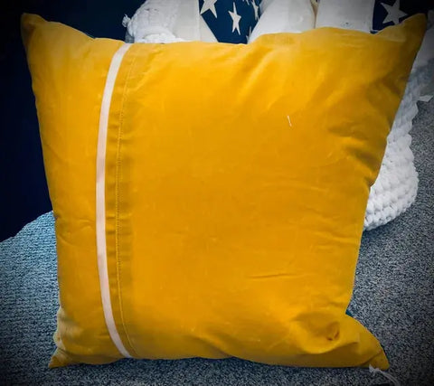 Waxed Canvas "Dog Proof" Pillows Suede Kloth