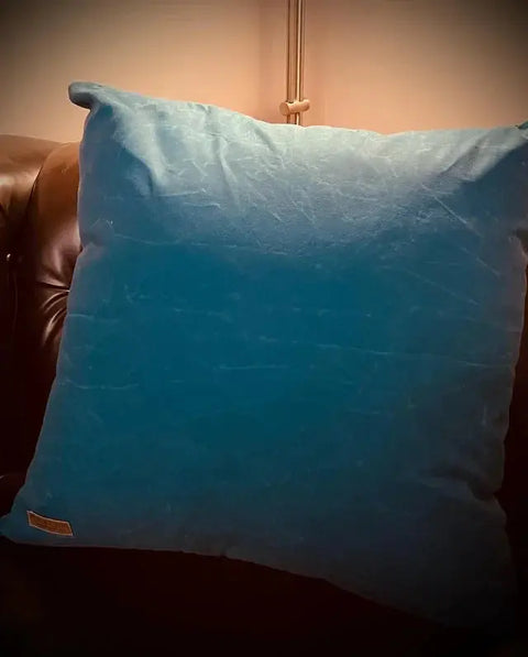Waxed Canvas "Dog Proof" Pillows Suede Kloth