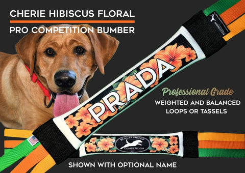 A brown dog holds the Bulletproof Pet Products Dock Diving Bumper Tug - Competition Series Weighted - Cherie Hibiscus, featuring a hibiscus floral design, pro-grade quality, weighted balance, and available personalization.