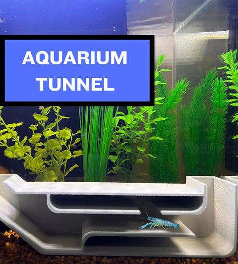 A blue crayfish is at the entrance of a Chatelet REEFSHAPE Aquarium X-Large Underground Tunnel by Chatelet Manufacturing in an aquarium with gravel, green aquatic plants, and a sign reading “AQUARIUM TUNNEL.”.