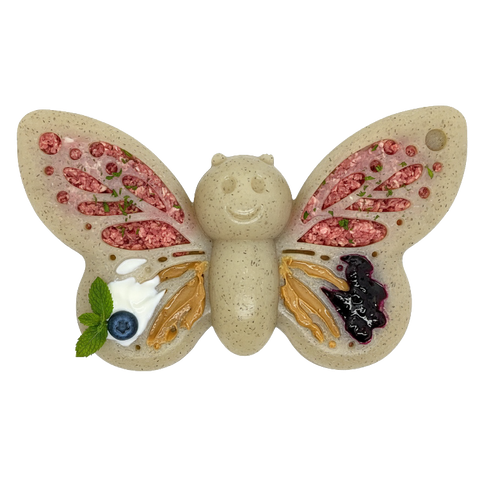 Butterfly Nylon Dog Chew Toy – Durable Enrichment Play – Made in USA SodaPup  Nylon Dog Toys