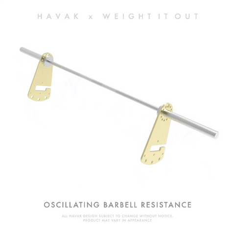Havak Hook 15 Pound Solid Steel Weight Pair – Oscillating Resistance | Made in USA Weight It Out 