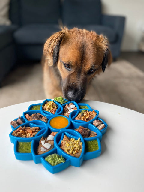Mandala Design Dog Enrichment Slow Feeder Tray – Interactive Lick Mat | Made in USA SodaPup  ETRAY