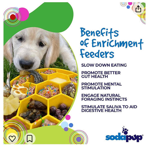 Honeycomb Slow Feeder Dog Bowl – Canine Enrichment Design | Made in USA SodaPup  EBOWL