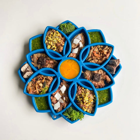 Mandala Design Dog Enrichment Slow Feeder Tray – Interactive Lick Mat | Made in USA SodaPup  ETRAY