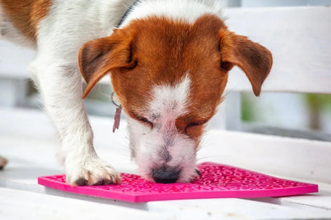 Flower Power Slow Feeder Lick Mat – Calming Pet Enrichment Toy | Made in USA SodaPup  EMAT