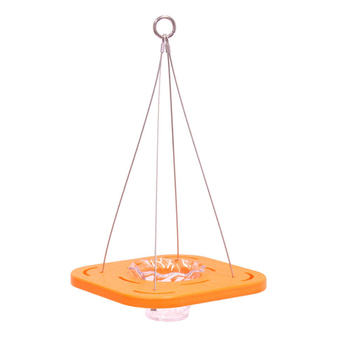 Eco-Friendly Oriole Bird Feeder – Recycled Poly Lumber Jelly Cup Feeder | Made in USA Amish Toy Box 
