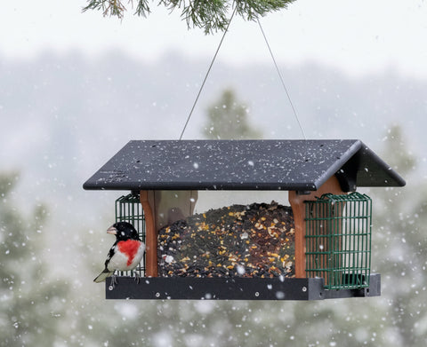 Amish-Made Durable Hanging Bird Feeder – Weather-Resistant Poly Lumber Suet Holder | Made in USA Amish Toy Box 