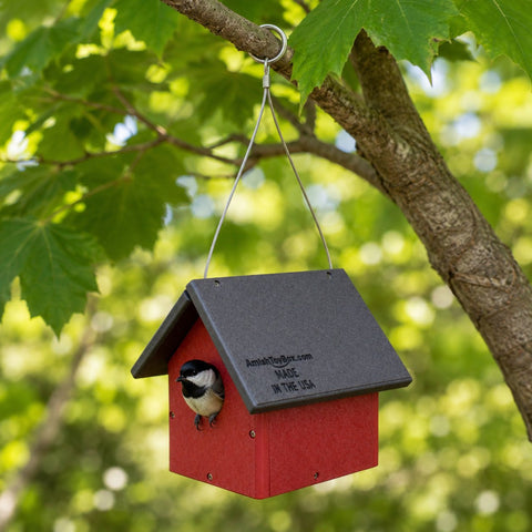 Amish-Made Eco-Friendly Birdhouse for Chickadees and Wrens 8 Inch Poly Lumber Nest Box | Made in USA Amish Toy Box  Bird House