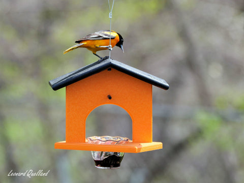 Eco-Friendly Hanging Oriole Bird Feeder with Jelly Dish and Orange Pegs 10 Inch – Amish Crafted | Made in USA Amish Toy Box  Bird Feeder
