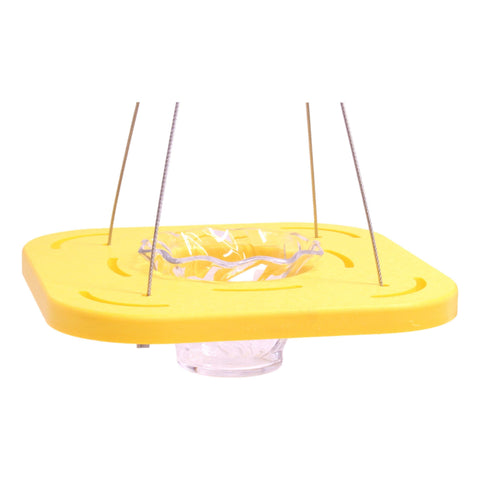 Eco-Friendly Oriole Bird Feeder – Recycled Poly Lumber Jelly Cup Feeder | Made in USA Amish Toy Box 