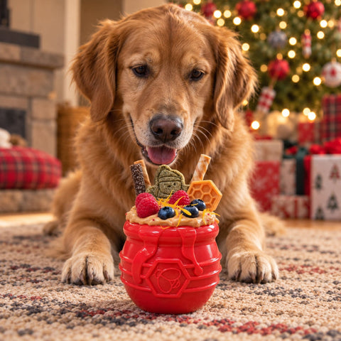 Durable PUP-X Rubber Treat Dispenser Toy – Honey Pot Design | Made in USA SodaPup  Rubber Dog Toys